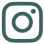 instagram_icon